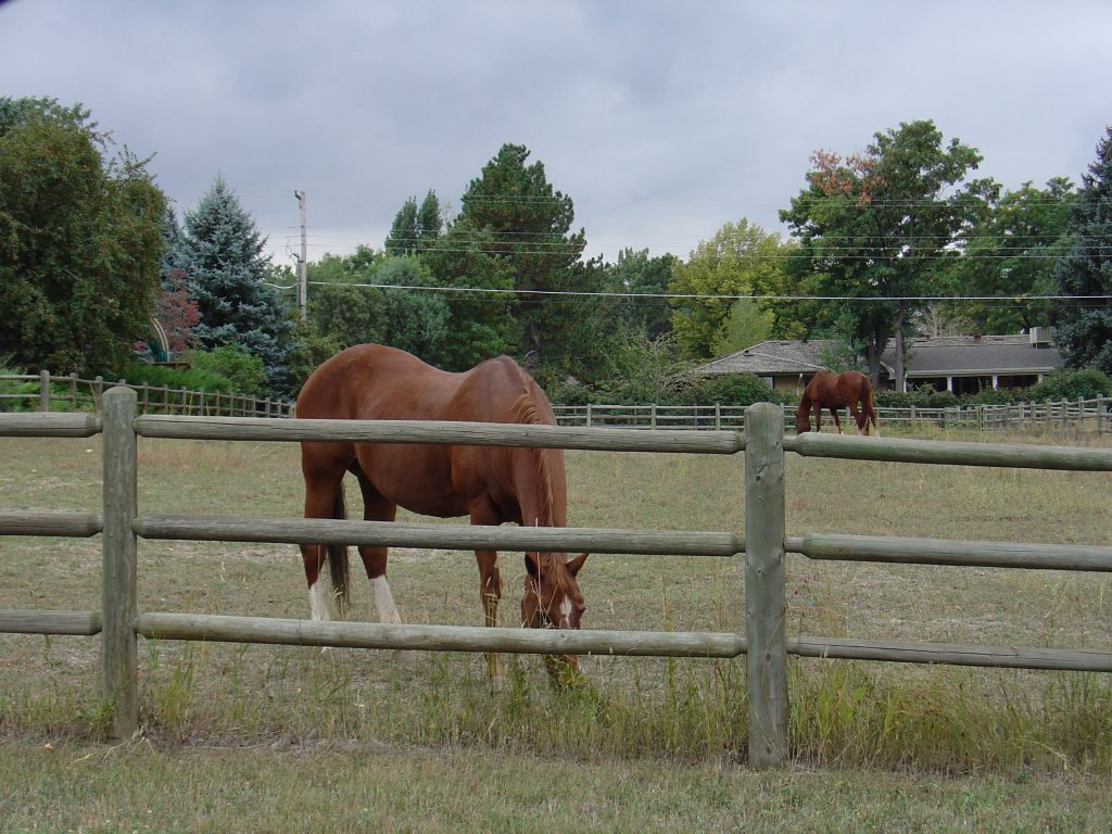 Horse Properties For Sale - Denver Metro CO